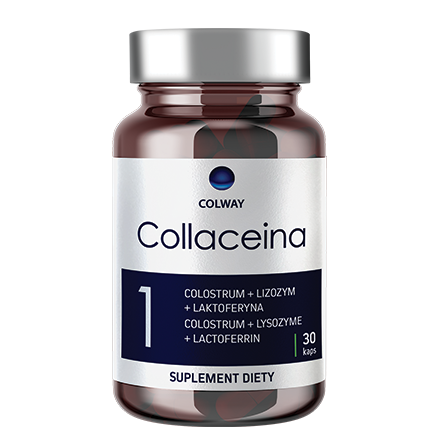 Collaceina COLWAY | Colostrum Laktoferyna Lizozym | 9 Szczepów Bakterii  
